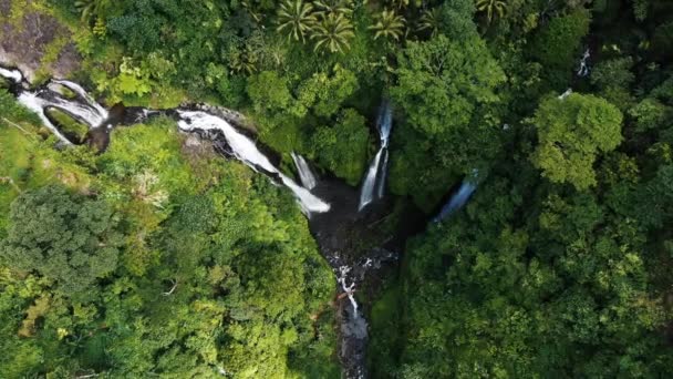 Μπαλί Φίτζι Καταρράκτη Στο Πράσινο Ζωντανή Κεραία Δάσος Βροχής — Αρχείο Βίντεο