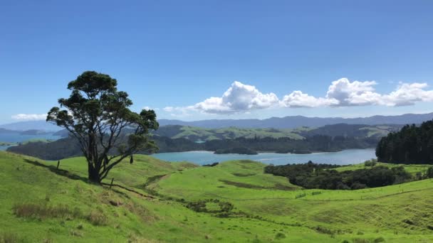 Panela Vista Panorâmica Lenta Península Coromandel Nova Zelândia Com Uma — Vídeo de Stock