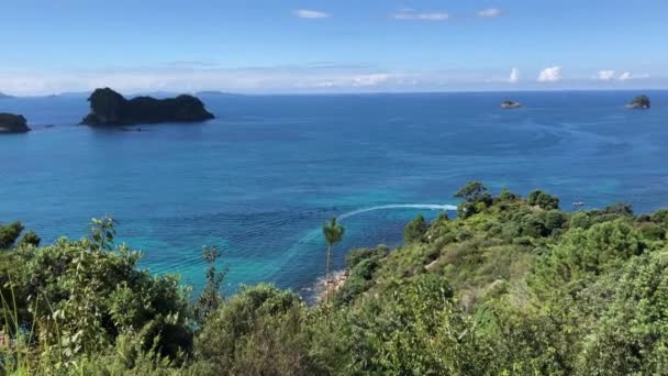 Výhled Oceán Poloostrova Coromandel Novém Zélandu Jasného Slunečného Letního Dne — Stock video