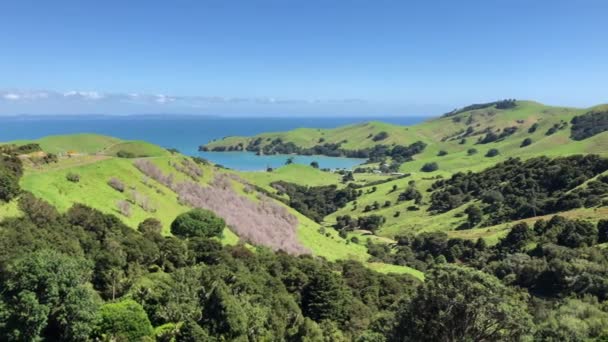 Zpomalený Záběr Poloostrov Coromandel Novém Zélandu — Stock video