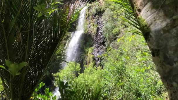 Vista Lateral Uma Cachoeira Nas Proximidades Auckland Nova Zelândia — Vídeo de Stock
