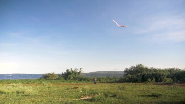 アフリカの湖のほとりで凧を飛んでいる若い男の子の広いショット — ストック動画