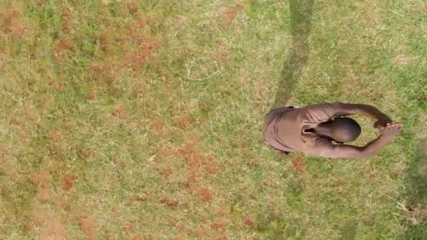 Ojo Pájaro Mira Toma Cámara Lenta Joven Bailarín Africano Saltando — Vídeo de stock