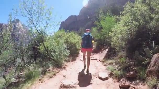 Mujer Joven Con Mochila Está Caminando Parque Nacional Zion Utah — Vídeos de Stock