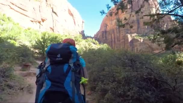 Mujer Joven Con Mochila Está Caminando Angel Landing Parque Nacional — Vídeo de stock