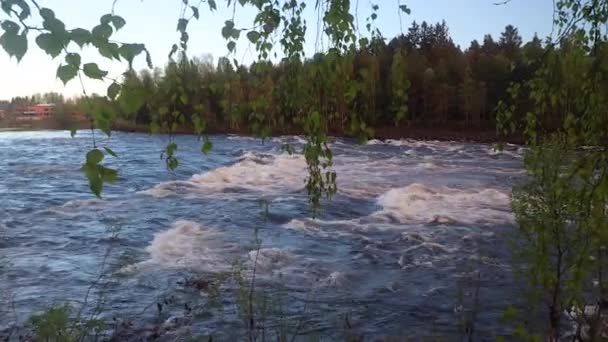 Glomma Rivier Noorwegen — Stockvideo