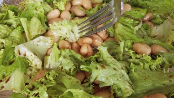 Pasto Sano Insalata Fatta Casa Non Stagionata Con Salmone Stringa — Video Stock