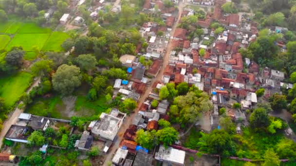 Village Survol Inde Images Aériennes Drones — Video