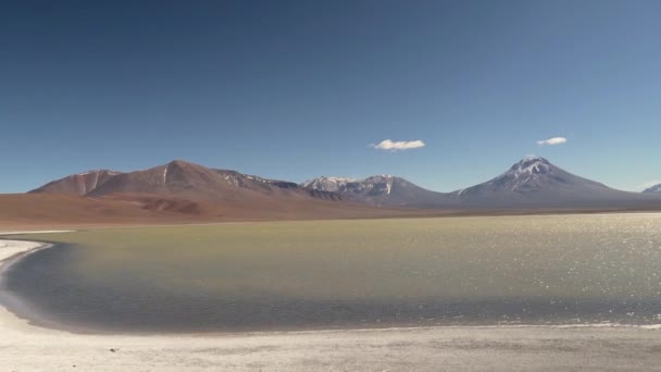 Prachtige Zoutlagune Bij Vulkanen Midden Atacama Woestijn Chili Zuid Amerika — Stockvideo