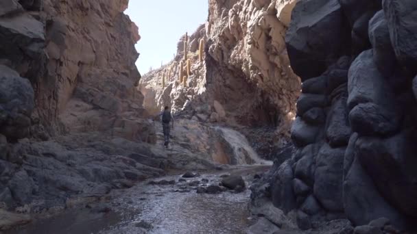 サンペドロ アタカマ砂漠 チリ北部 南米の近くの峡谷の中のハイカー — ストック動画