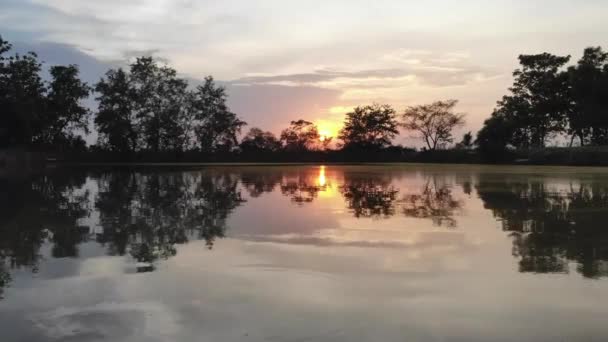 落日期间松树林和河流的森林景观日出日落拍成电影无人机镜头 — 图库视频影像