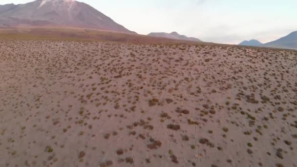 アタカマ砂漠砂丘と背景に火山のある植生 — ストック動画