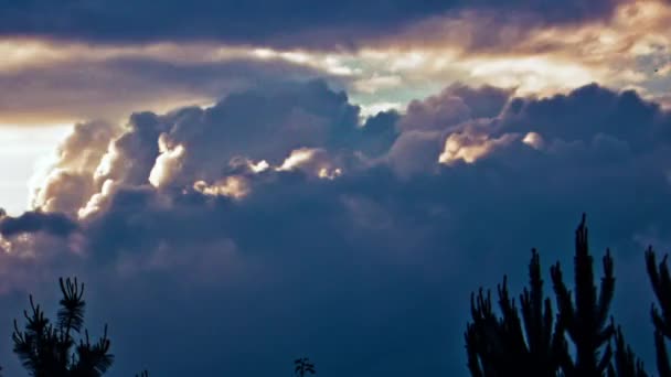 Timelapse Deszczu Chmury Kaktusa Sylwetka Burza Przed Deszczem — Wideo stockowe