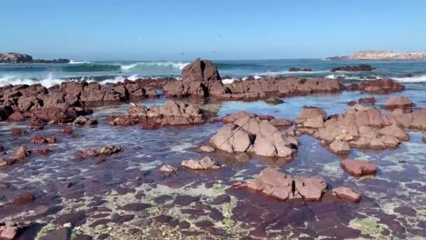Krajobraz Oceanu Krajobraz Dzikiej Przyrody Riwierze Nayarit Meksyk — Wideo stockowe