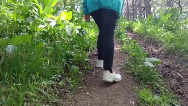 Mujer Caminando Por Sendero Del Bosque Traje Deportivo Durante Senderismo — Vídeo de stock