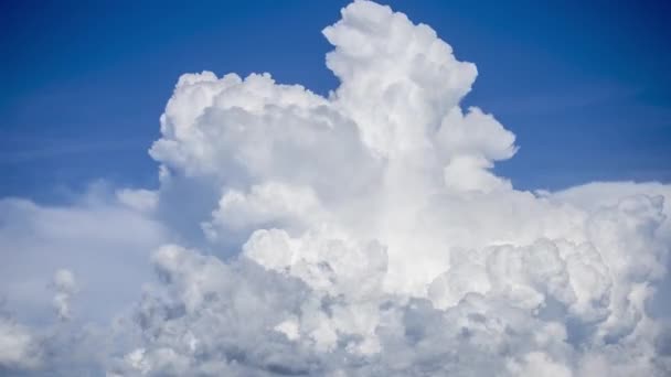 Кучевые Облака Поднимающиеся Времени Крупным Планом — стоковое видео
