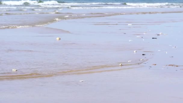 Plajda Suda Plastik Kirliliği — Stok video