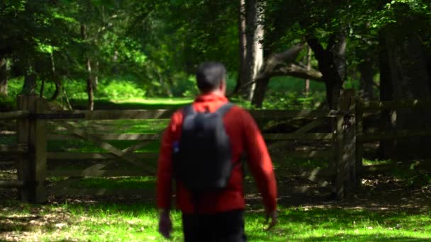 Hiker Opening Closing Gate Woodland Scenic Path — Stock Video