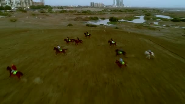 Polo Caballos Corriendo Campo Durante Partido Como Jugadores Corriendo Por — Vídeo de stock