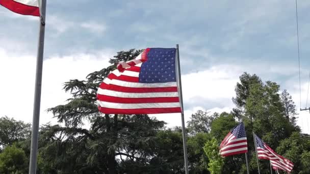 Vídeo Câmera Lenta Mostrando Uma Fileira Bandeiras Americanas Soprando Vento — Vídeo de Stock