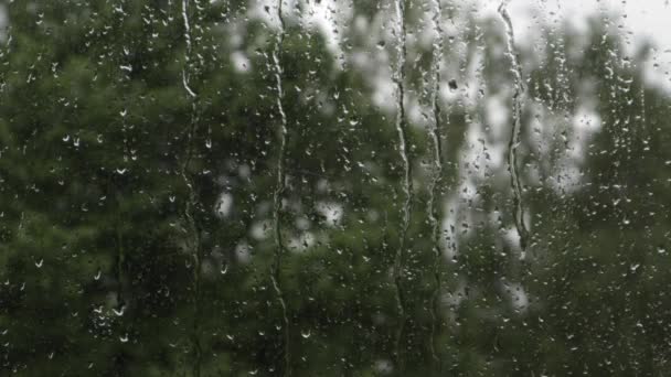 Rain Drops Falling Window Surface Slidding Overcast Day Close Still — Stock Video