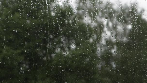 Deszczowy Dzień Widziany Tyłu Powierzchni Okna Drzewami Tle Podczas Jasnego — Wideo stockowe