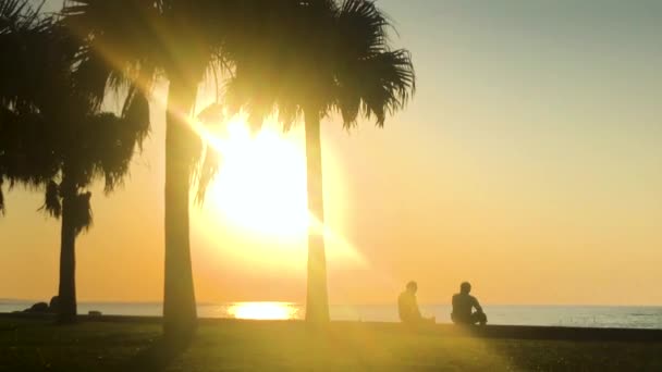 Palmiye Ağacının Hızı Plajın Yakınındaki Insanlar Araha Sahili Chatan Okinawa — Stok video