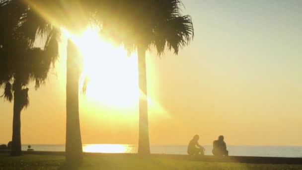 Palmiye Ağacının Hızı Plajın Yakınındaki Insanlar Araha Sahili Chatan Okinawa — Stok video