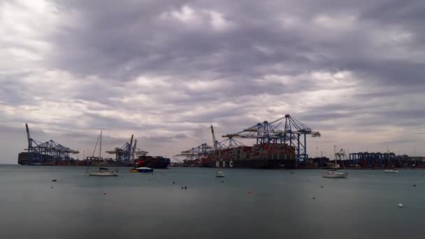 Timelapse Vídeo Malta Birzebugga Buques Portacontenedores Cargando Freeport 2019 — Vídeos de Stock