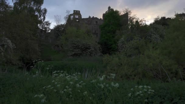 Spooky Villa Rovina Con Stormi Uccelli Nella Campagna Rurale Vicino — Video Stock