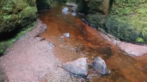 Patrząc Górę Rzeki Kierunku Diabelskiej Ambony Wspinanie Się Przez Wąwóz — Wideo stockowe