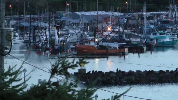 Close Barcos Pesca Ancorado Uma Manhã Calma Madrugada Histórico Old — Vídeo de Stock