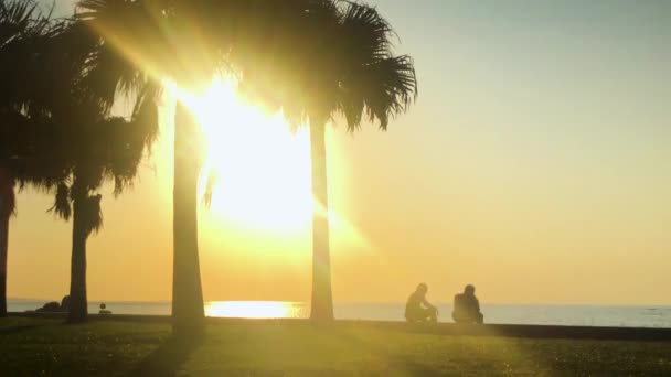 Time Lapse Palm Træ Folk Nærheden Stranden Araha Beach Chatan – Stock-video