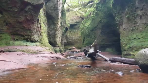 Escena Tranquila Agua Fluyendo Finnich Glen Aka Devil Pulpit Cerca — Vídeos de Stock