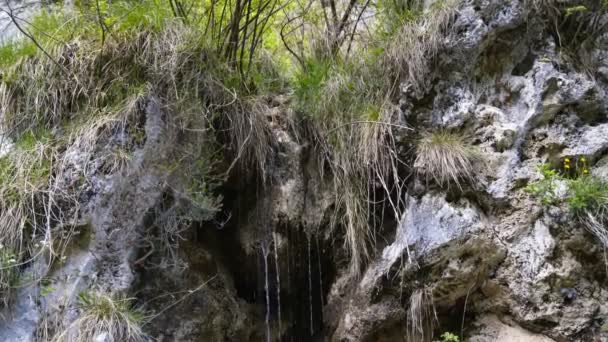 Vodopád Řece Val Vertova Blízko Bergamu Seriana Valley Itálie — Stock video