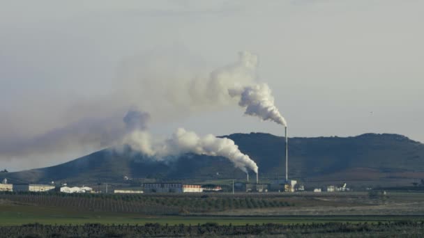 Τρεις Βιομηχανικές Καπνοδόχοι Φουντώνουν Μέσα Μια Καθαρή Μέρα — Αρχείο Βίντεο