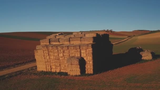 Strzał Powietrza Lecący Kierunku Wokół Dużego Bloku Ułożonych Bel Słomy — Wideo stockowe