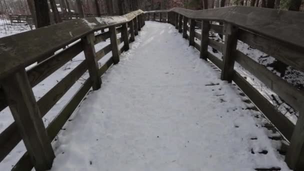 Sendero Congelado Cubierto Nieve Cerca Una Cascada Congelada Barandillas Madera — Vídeos de Stock