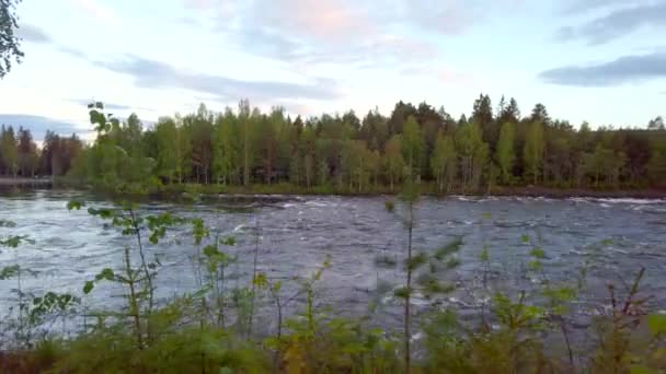 Река Гломма Лесу Округе Хедмарк Норвегии — стоковое видео