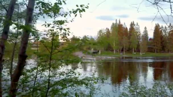 Prachtig Noors Bos Provincie Hedmark Noorwegen — Stockvideo