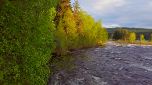 Stormiga Glomma Älven Skogen Norges Län — Stockvideo