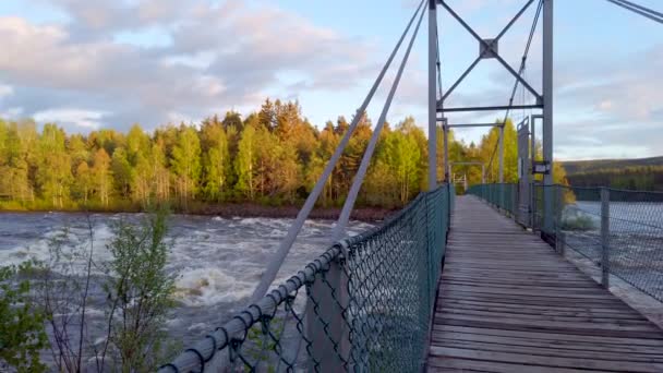 Upphängningsbro Vid Glomma Älv Skogen Hedmark Län Norge — Stockvideo