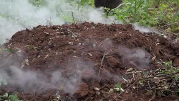 Kopiec Ziemi Jest Palenie Podczas Węgiel Drzewny Jest Produkowany Afryce — Wideo stockowe