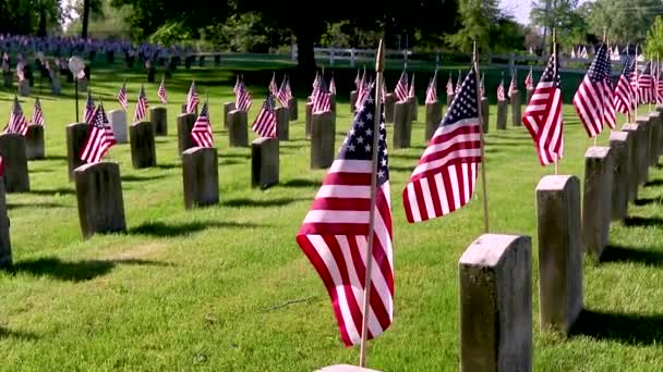 Idąc Przez Cmentarz Naszych Upadłych Weteranów Amerykańskie Flagi Umieszczone Każdym — Wideo stockowe