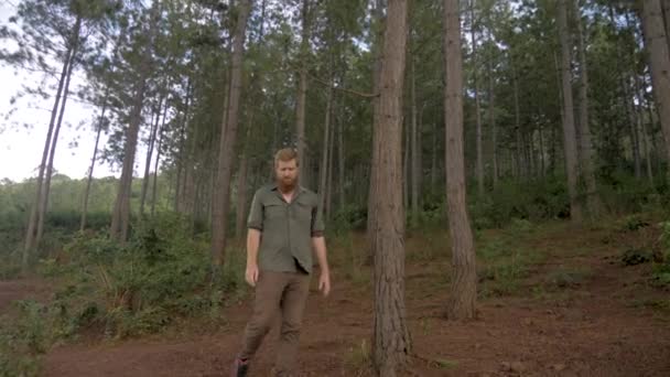 Slow Motion Shot Bearded Ginger Outdoors Man Walks Pine Forest — Stock Video