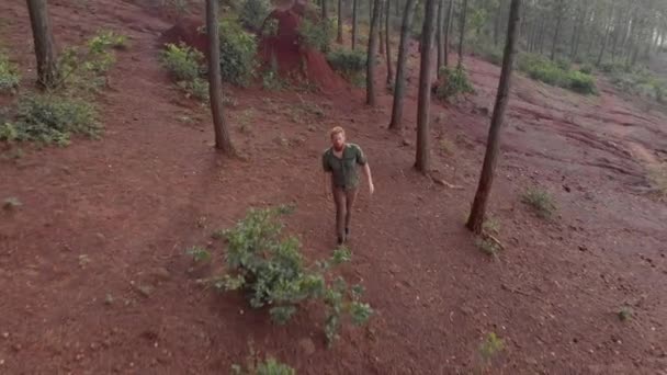Воздушный Выстрел Отслеживающий Бородатого Рыжего Мужчину Спереди Проходит Через Сосновый — стоковое видео