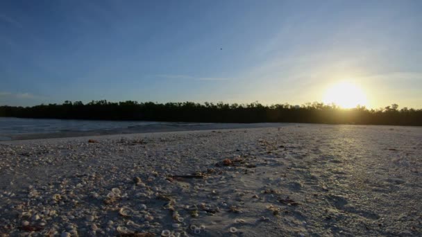 Pasangan Berjalan Sepanjang Naples Pantai Selama Pagi Yang Indah Matahari — Stok Video