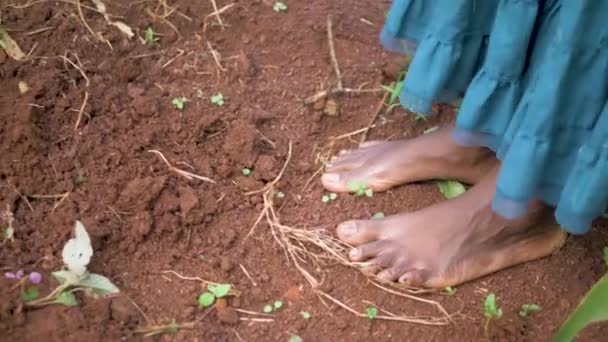 Een Close Shot Van Een Afrikaanse Vrouw Blote Voeten Terwijl — Stockvideo