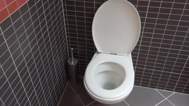 Toilette Dans Salle Bain Moderne Avec Des Carreaux Noirs Gris — Video