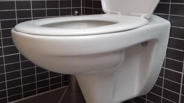 Toilet Mangkuk Toilet Kamar Mandi Modern Dengan Ubin Hitam Dan — Stok Video